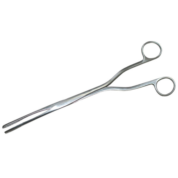 Hern-Van Lyth Ovum Forceps, Oval, 9 1/2" (24.1 Cm), 11.0 Mm